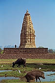 Khajuraho - Javari temple 